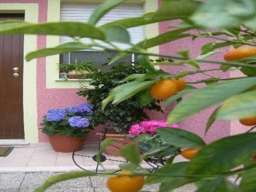 كابوتيرا Ariedo Bed And Breakfast المظهر الخارجي الصورة