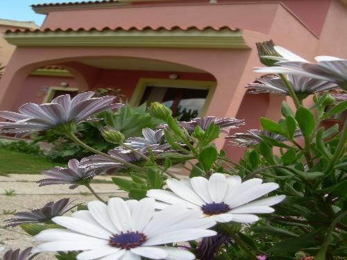 كابوتيرا Ariedo Bed And Breakfast الغرفة الصورة